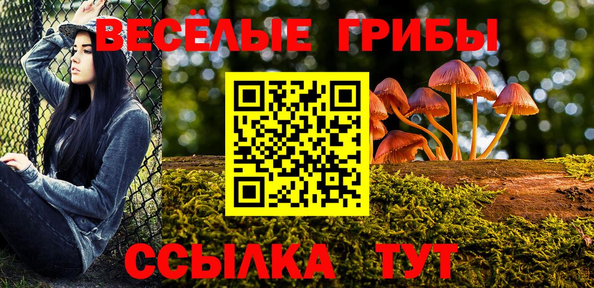 Королёв  купить наркотики сайты  Вход с VPN  Псилоцибиновые грибы Psilocybine cubensis 