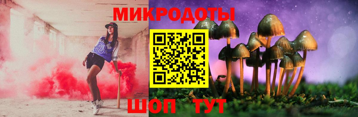 Галлюциногенные грибы Psilocybe Королёв